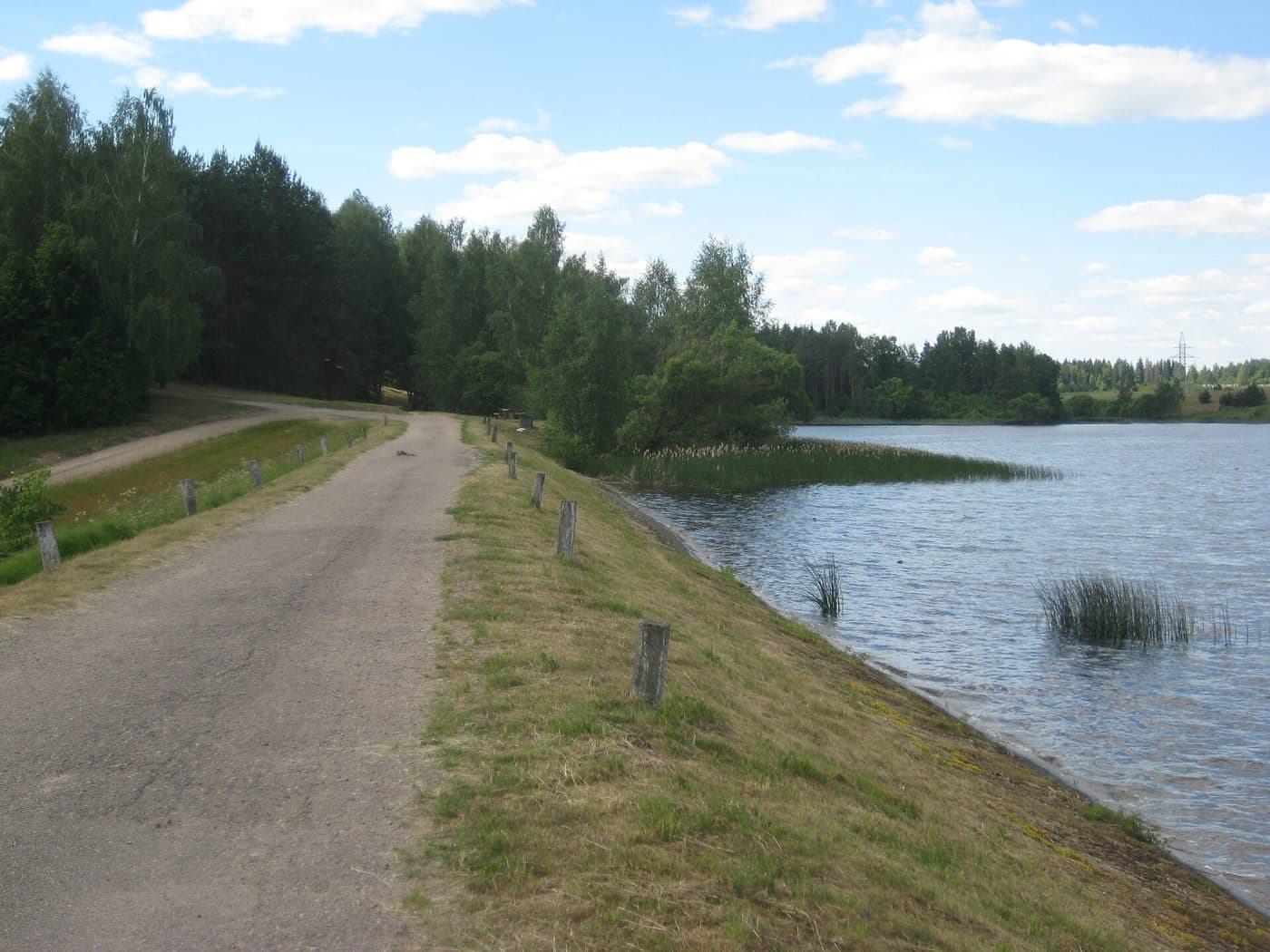Drone found radar-undetected in Samanė, Utena district