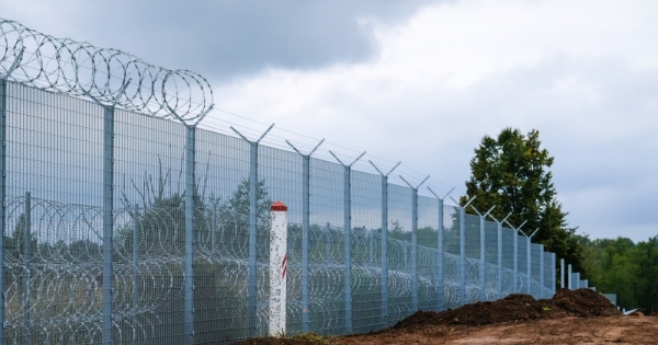 The completed Latvia-Belarus border fence, razor wire and steel mesh along the tree line